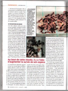 Articles concernant les fourmis, L'incroyable révolte des fourmis esclaves 4.jpg