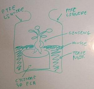 Plan v2, Nid creusable dans un vase en verre (premier essai)