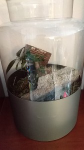 Photo v2, Nid creusable dans un vase en verre (premier essai)