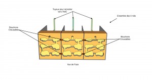 Ensemble des 3 nids (modules), Projet de nid évolutif pour Messor barbarus