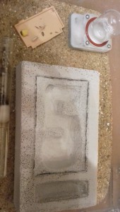 Fourmilière, Avis sur première fourmilière en béton cellulaire