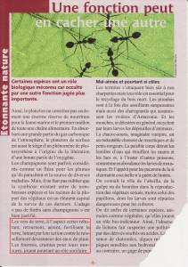 Articles concernant les fourmis, Une fonction peut en cacher une autre.jpg