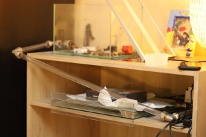 Nid de stabilisation, [Blog] Camponotus detritus