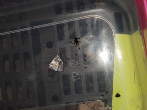 Les Lasius emarginatus 5 qui ont très très vite débarqué à plusieurs. C'était très plaisant de voir une sorte de file se dessiner entre le tube et la proie. ^^, 