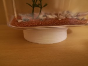 ... et pour l'ADC, [Blog] Lasius nig.. Ah bah non, Messor barbarus