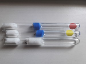 Gyne rouge, gyne jaune et gyne coton dans leurs tubes, [Blog] Mes Solenopsis fugax