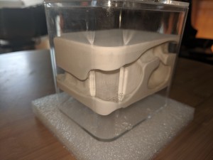 Nid 2, [Blog] Les Lasius sp. aff. niger de Rekyem