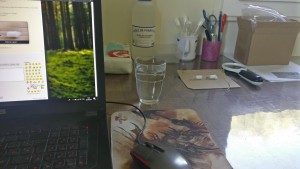 Le tube sur le bureau, [Blog] Camponotus Lateralis