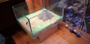 L'instalation, Nouvelle ADC