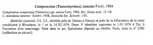 Extrait 1, [Blog] Camponotus africaines, sanctus et sp d'Afrique de l'est