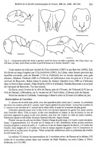 Extrait 2, [Blog] Camponotus africaines, sanctus et sp d'Afrique de l'est
