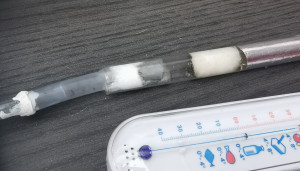 Relié au tube de fondation, Mortalité chez Pheidole pallidula