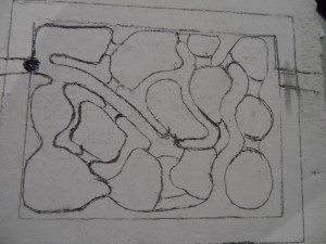 Les dessins des galeries, Projet de petit nid en BC pour Lasius emarginatus