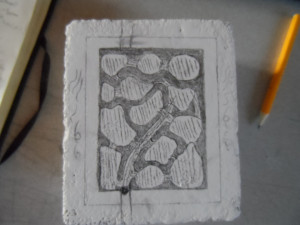 Les mêmes dessins avec du crayon à papier, Projet de petit nid en BC pour Lasius emarginatus