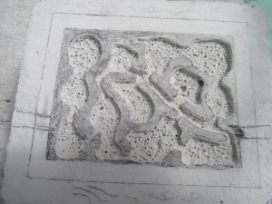 Suite logique :, Projet de petit nid en BC pour Lasius emarginatus