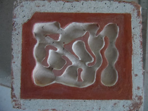 Nid teinté., Projet de petit nid en BC pour Lasius emarginatus