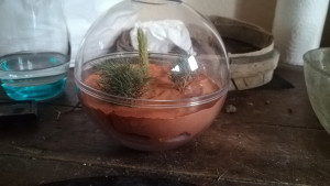 Photo 3, Module de fondation : "Désert de Namibie"