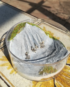 Montagne, vu du haut, Modules de fondation : "Montagne" et "Prairie"