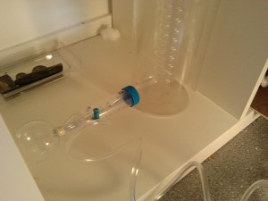 Fourmilière "spirale" en verre, 2010-10-06 11.21.56.jpg