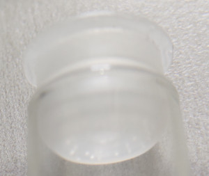 trous, [Lasius cf emarginatus] Identification d'une fourmi volante qui s'est présentée à moi