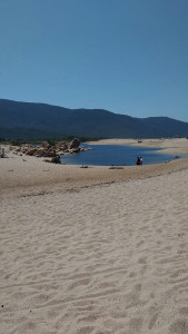 Le biotope, 