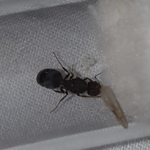 Photo 2, Encore une demande d'identification.