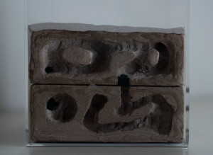 Face 2 droite, Fourmilière BC + Plâtre boite acrylique