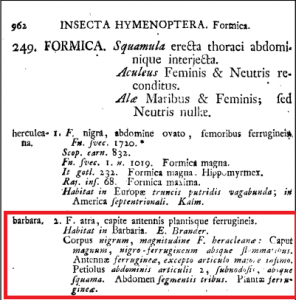 Systema naturae de C. Linnée p962, Messor, oui, mais pourquoi barbarus ?