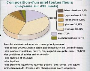 Quelques Aliments aux Qualités Nutritionnelles Intéressantes, composition_miel.jpg