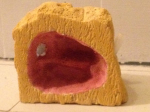 Face peinte, Module de fondation en BC par kieffer