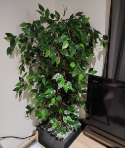Vue de l'ensemble, Nid ''Pot de plante''