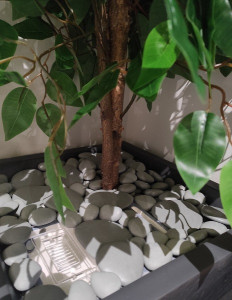 Vue avec Galets, Nid ''Pot de plante''