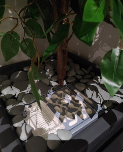 Vue sans Galets, Nid ''Pot de plante''