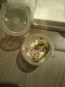 Nouveau fungus, Les Acromyrmex d'Antonymous