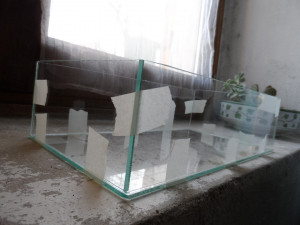 Future ADC 2, Les nids, ADC et terrariums de C38