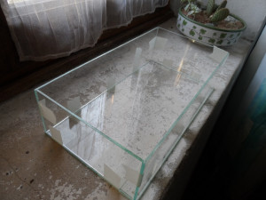 Future ADC 1, Les nids, ADC et terrariums de C38