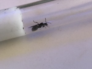 , 82356229-AFA6-46CD-858E-B195BBA008B0.jpeg