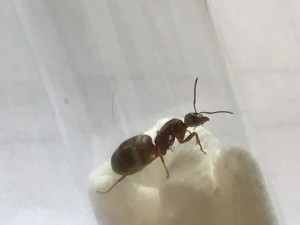 , E8007CC8-BCDC-445D-B4F6-2636540CE147.jpeg