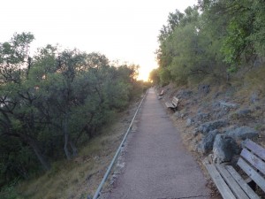 Le Biotope de notre promenade sur le Mont Boron., Les fourmis de la Côte d'Azur