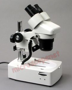 Choisir sa Loupe Binoculaire, 1_L.jpg