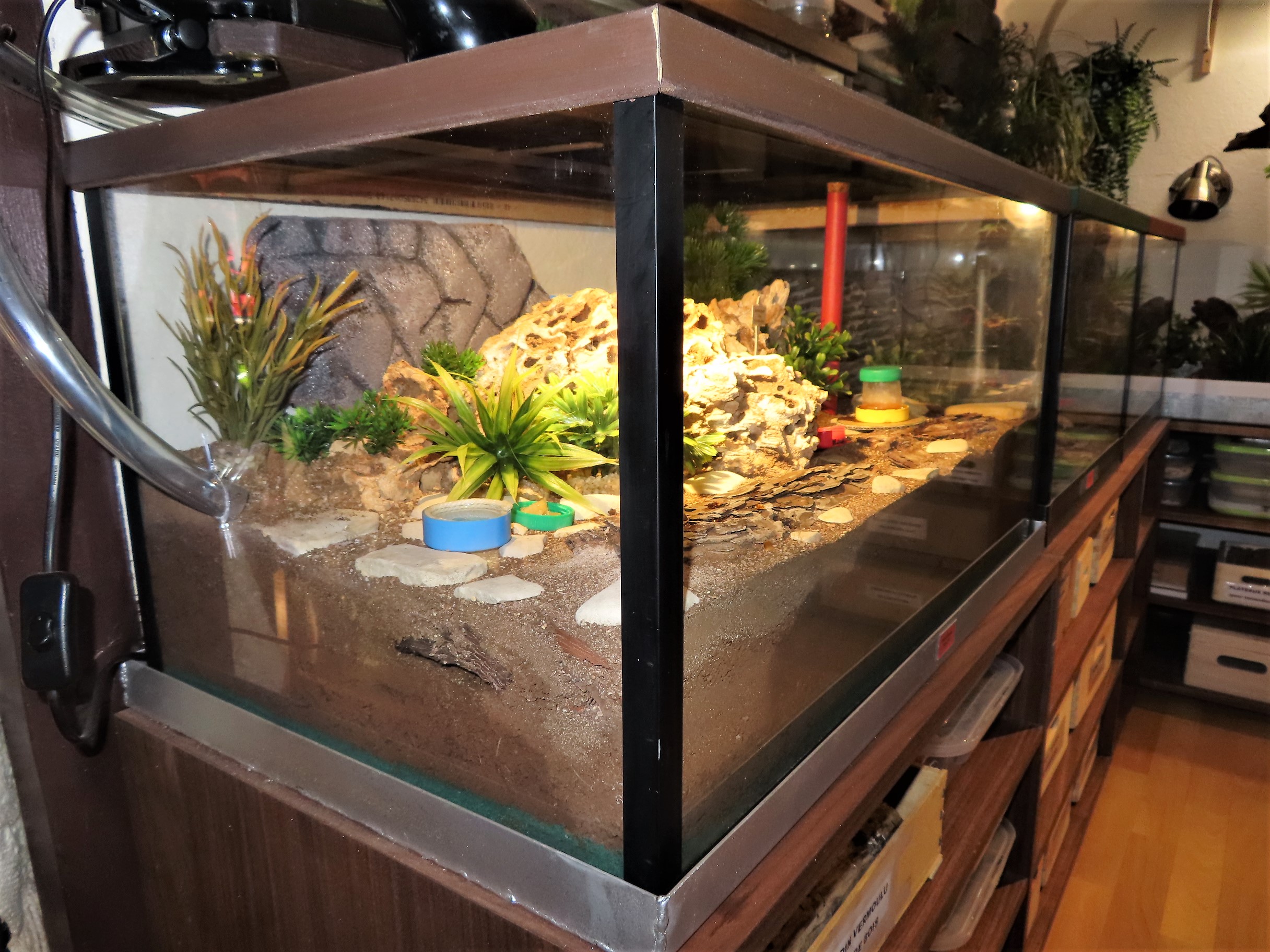 Creer Une Fourmiliere Dans Un Aquarium Construction d'un terrarium spécial : Autres types de Fourmilières (verre,  bois, creusables etc ...)