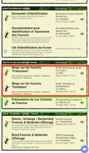 Capture d'écran, fourmilys