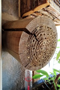 Le petit rondin des mini guêpes aujourd'hui., Ruchette et Bûche à Abeilles de l'I-D-É-MYR.