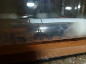 Fondation de Camponotus cruentatus, [Blog] Présentation de mes colonies & fondations