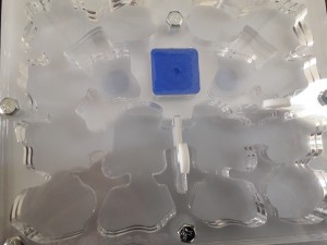 Le nid, Humidification d'un nid en plexi