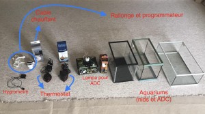 Matériel, [Blog] Les Acromyrmex octospinosus de Gabriel