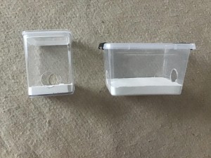 Modules fondations, [Blog] Les Acromyrmex octospinosus de Gabriel