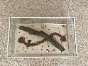 Photo de haut, [Blog] Les Acromyrmex octospinosus de Gabriel