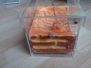 Nid façon biorama enfin fini !, 2010-11-03 11.38.15.jpg