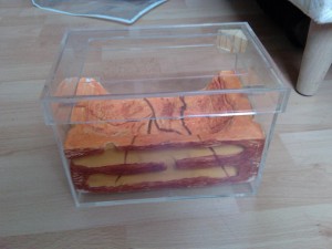 Nid façon biorama enfin fini !, 2010-11-03 11.37.37.jpg